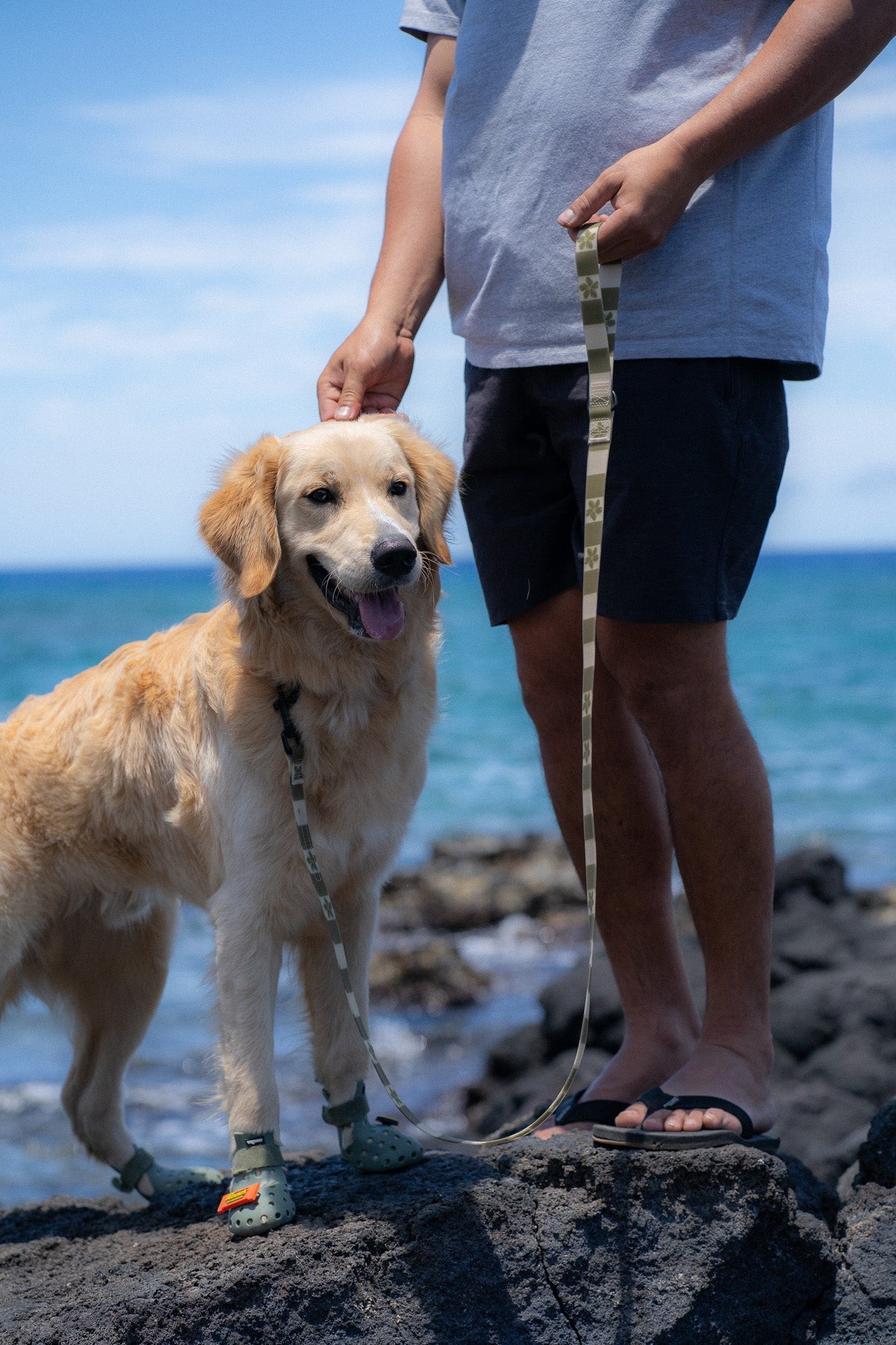 Hele Mai Dog Leash